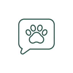 Ilustración: WhatsApp con el dueño